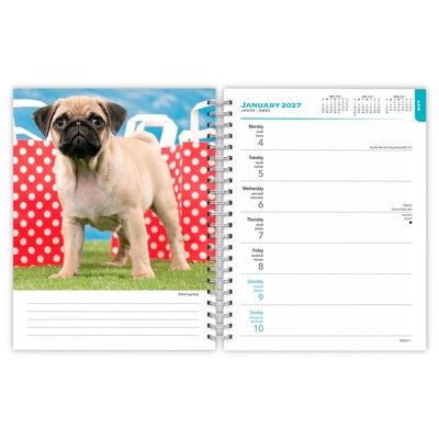 2027 BrownTrout I Love Puppies 6.5" x 7.8" Calendar Year Weekly Standard Planner, Multicolor (9798330709441)