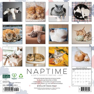 2027 Willow Creek Naptime: A Cats Favorite Pastime 12 x 12 Monthly Wall Calendar (61404)