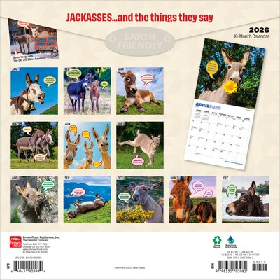 2026 BrownTrout Jackasses 12 x 12 Monthly Wall Calendar (9798330703982)