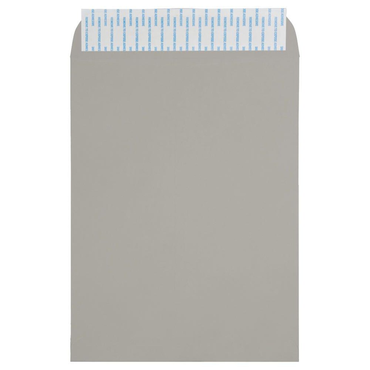 JAM Paper Self Seal Catalog Envelope, 9 x 12, 500/Box (12931115)