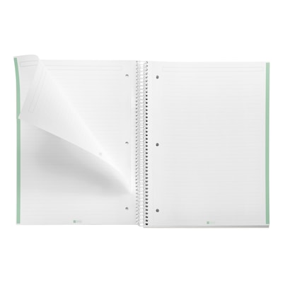 Miquelrius Emotions 1-Subject Notebook, 8.5 x 11, College-Ruled, 80 Sheets, Mint, 5/Pack (48276CS)