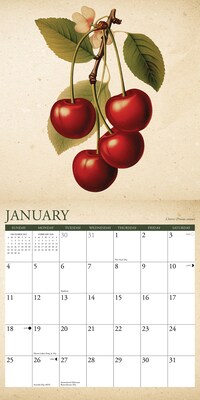 2026 Willow Creek Farmer's Market 12" x 12" Monthly Wall Calendar (51108)