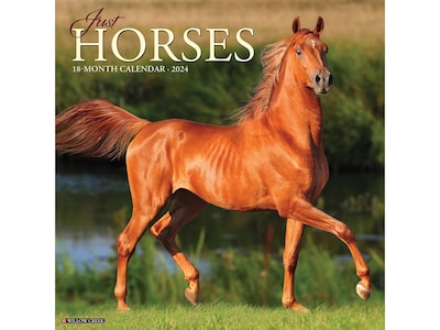 2024 Willow Creek Just Horses 12 x 12 Monthly Wall Calendar (33975)