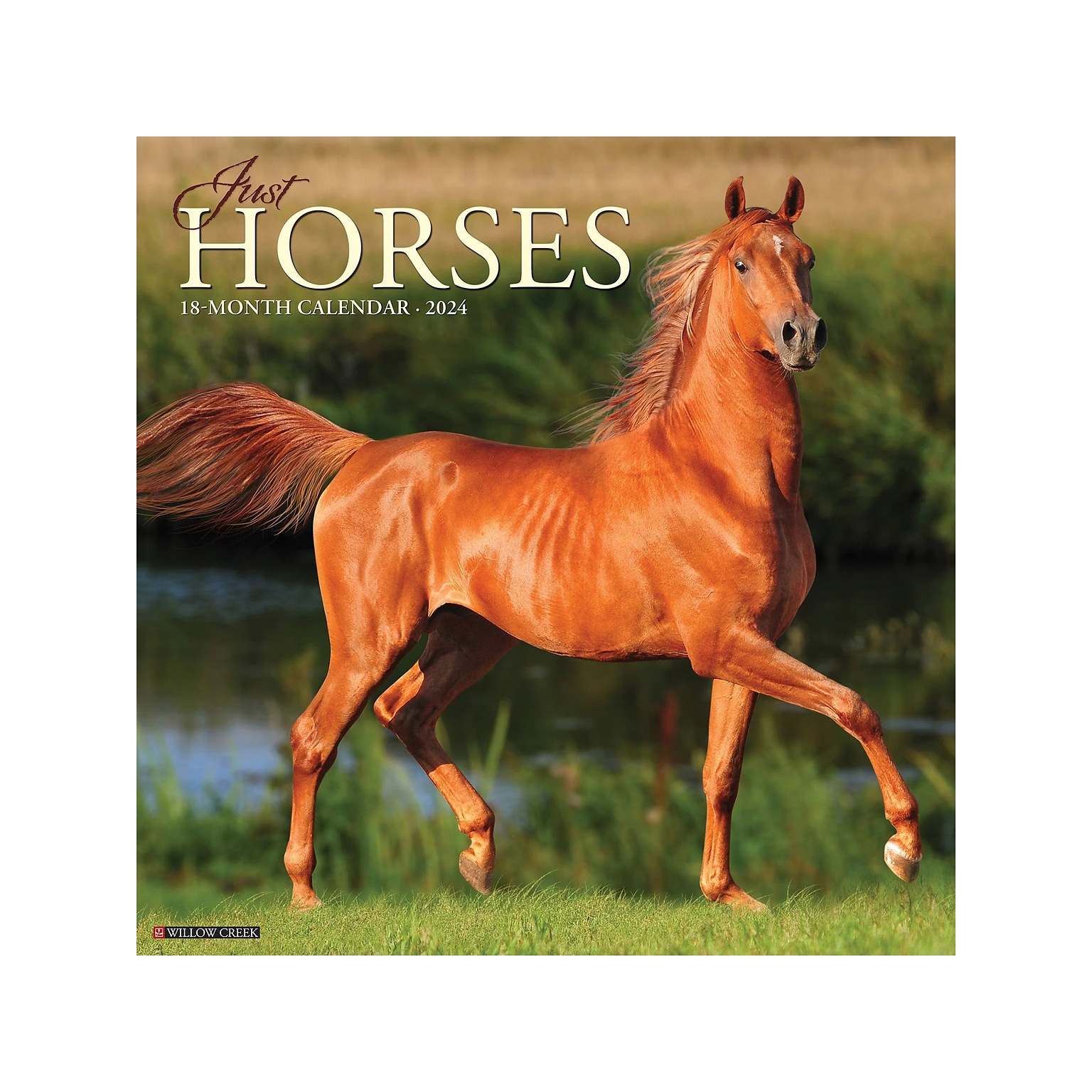 2024 Willow Creek Just Horses 12 x 12 Monthly Wall Calendar (33975)