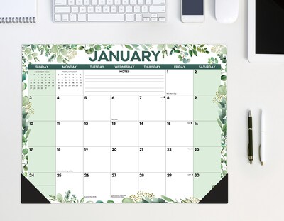 2027 Willow Creek Eucalyptus 22" x 17" Monthly Desk Pad Calendar, Assorted Colors (66577)