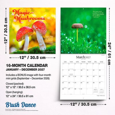 2027 BrownTrout Magic Mushrooms 12" x 12" Monthly Wall Calendar (9798330714025)