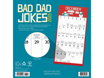 2025 Willow Creek Bad Dad Jokes 12" x 12" Monthly Wall Calendar (41567)