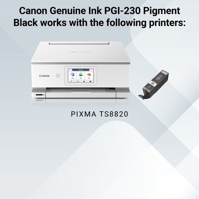 Canon Genuine PGI-230 Pigment Black Standard Yield Ink Cartridge (6674C001)