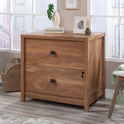 Sauder Cannery Bridge Commercial 2-Drawer Lateral File Cabinet, Letter/Legal Size, 32W x 22D, Sind