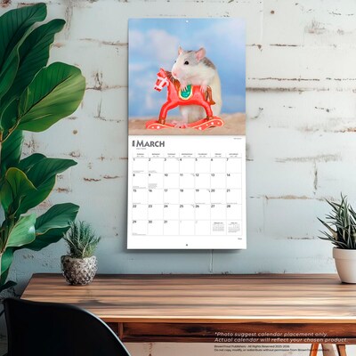 2026 BrownTrout Rats 12" x 12" Monthly Wall Calendar (9798330705313)
