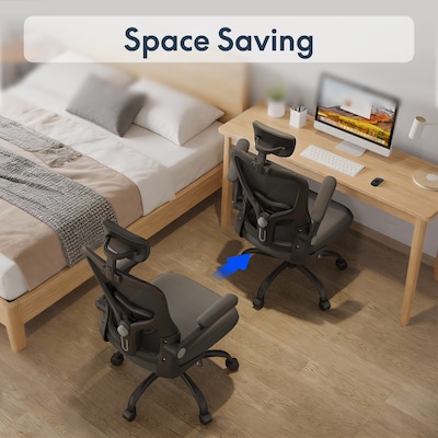 FlexiSpot Pro Comfort Swivel Computer and Desk Chair, Black (OC1BK-SD-DP)