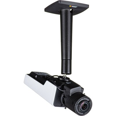 Axis P13 Series Indoor/Outdoor Wired 1 Security Camera, Gray (02735-001)