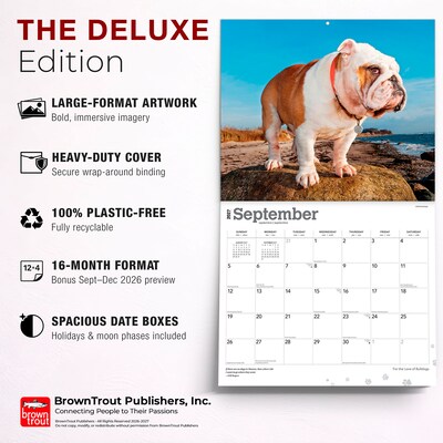 2027 BrownTrout For the Love of Bulldogs 14" x 12" Monthly Wall Calendar, Assorted Colors (9798330714674)