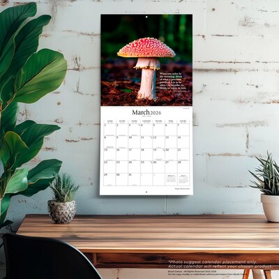 2026 Brush Dance Magic Mushrooms 12" x 12" Monthly Wall Calendar (9798330706570)