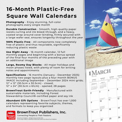 2025 BrownTrout The Caribbean 12" x 12" Monthly  Wall Calendar (9781975474584)