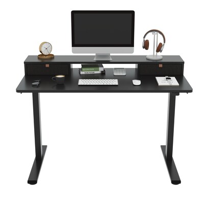 FlexiSpot EC9B Series 48W Electric Adjustable Standing Desk, Black (EC9BDO04B)
