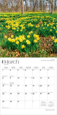 2026 BrownTrout Illinois Wild & Scenic 12" x 12" Monthly Wall Calendar (9798330703845)