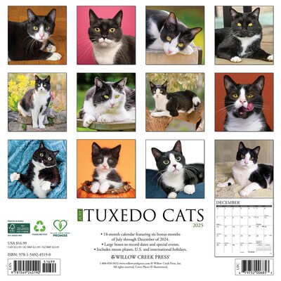 2025 Willow Creek Just Tuxedo Cats 12 x 12 Monthly Wall Calendar (45190)
