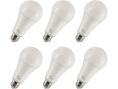 Viribright 17-Watts Daylight LED General-Purpose Bulb, 6/Box (450118-ES)