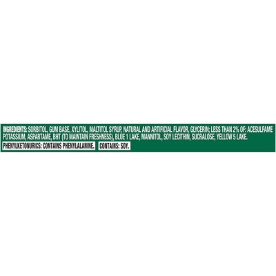 Trident Sugar Free Spearmint Gum, 14 Pieces/Pack, 12/Packs (VAM05017)