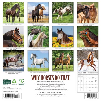 2026 Willow Creek Why Horses Do That 12 x 12 Monthly Wall Calendar (53263)