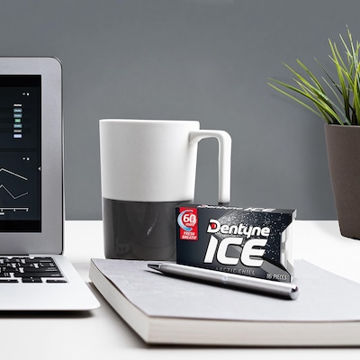 Dentyne Ice Sugar Free Arctic Chill Gum, 9 Packs/Box (VAM05109)