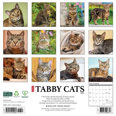 2025 Willow Creek Just Tabby Cats 12 x 12 Monthly Wall Calendar (45060)