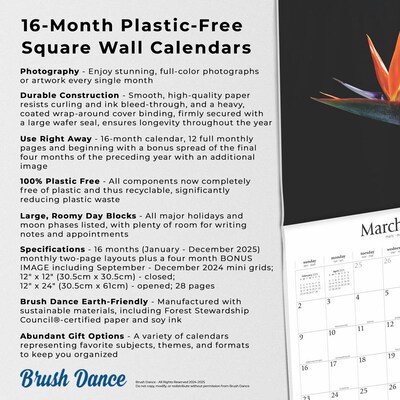 2025 Brush Dance In the Garden 12" x 12" Monthly Wall Calendar (9781975478568)