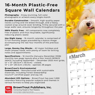 2026 BrownTrout Maltese 12" x 12" Monthly Wall Calendar (9798330707591)