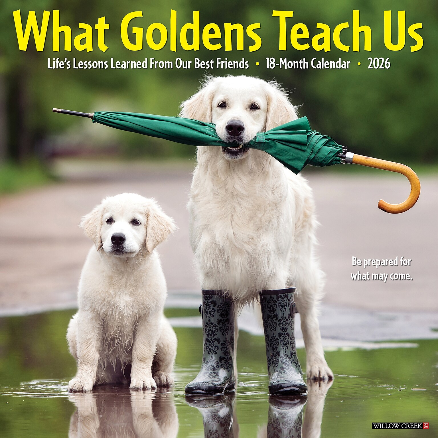 2026 Willow Creek What Goldens Teach Us 12 x 12 Monthly Wall Calendar (53188)