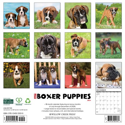 2027 Willow Creek Boxer Puppies 12 x 12 Monthly Wall Calendar, Assorted Colors (59319)