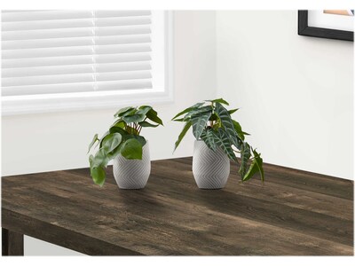 Monarch Specialties Inc. Alocasias in Pots, 2/Pack (I 9582)