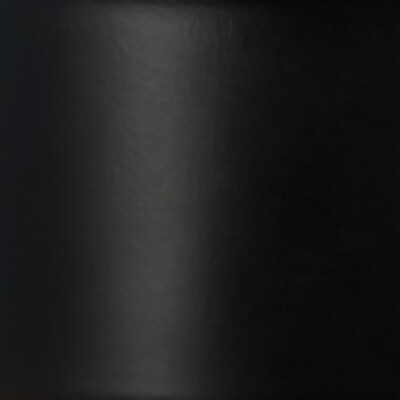 Lalia Home Black Matte Light Beacon Floor Lamp with Clear Glass Shade (LHF-5018-BK)