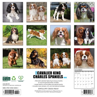 2026 Willow Creek Cavalier King Charles Spaniels 12 x 12 Monthly Wall Calendar (50651)
