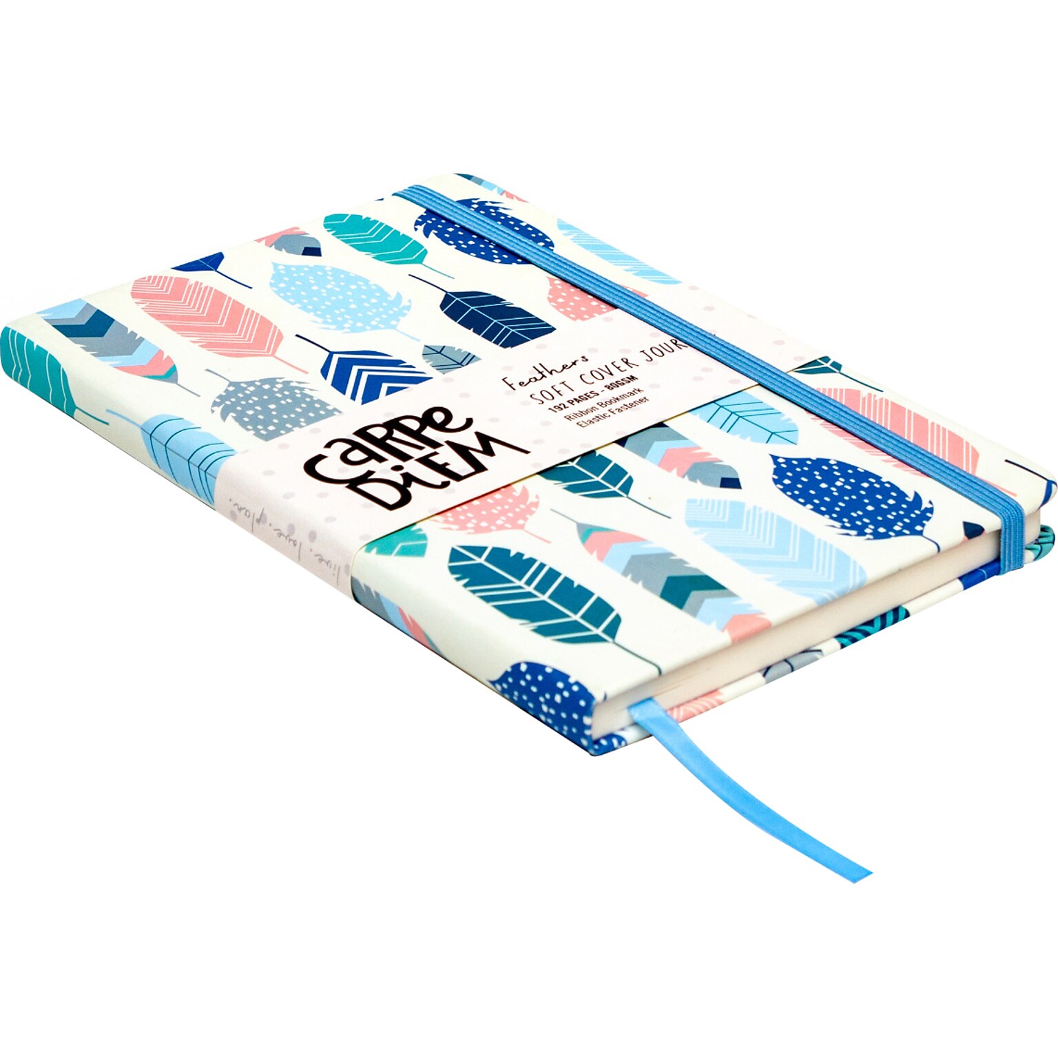 Carpe Diem Feathers Journal, 5.24 x 8.27, Wide-Ruled, Multicolor, 192 Pages (9373-CD)