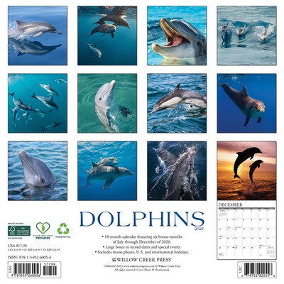 2027 Willow Creek Dolphins  12 x 12 Monthly Wall Calendar (60056)