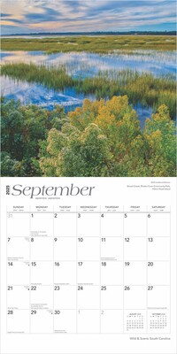 2025 BrownTrout South Carolina Wild & Scenic 12" x 12" Monthly Square Wall Calendar (9781975475710)