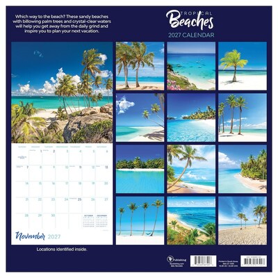 2027 TF Publishing Tropical Beaches 10" x 12" Monthly Wall Calendar, Multicolored (27-1030)