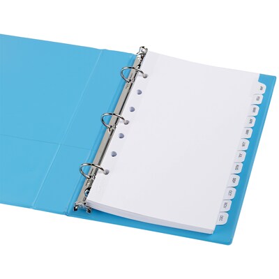 Avery Pre-Printed Mini Paper Dividers, Jan-Dec Tabs, White (11315)