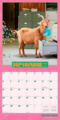 2026 BrownTrout Funny Farm 12" x 12" Monthly Wall Calendar (9798330701452)