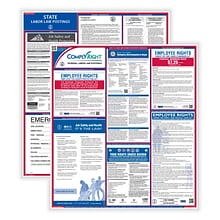 ComplyRight Federal and State (English) Labor Law 1-Year Poster Service, Connecticut - Hotel and Res