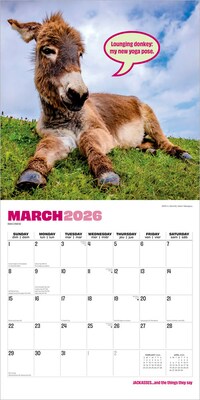 2026 BrownTrout Jackasses 12" x 12" Monthly Wall Calendar (9798330703982)
