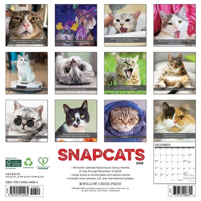 2025 Willow Creek Snapcats 12 x 12 Monthly Wall Calendar (44964)