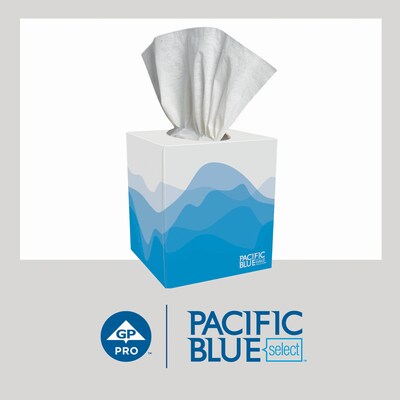 Pacific Blue Select Facial Tissue, 2-ply, 100 Tissues/Box, 36 Boxes/Pack (46200)