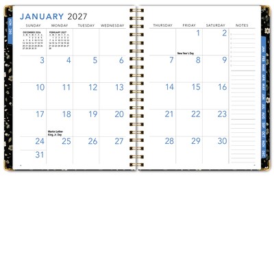 2027 Excello Brands 9" x 11.3" Weekly & Monthly Standard Planner, Paperboard Cover, Primrose (LGPRT-CY27-8511-87)