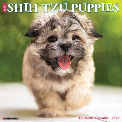 2025 Willow Creek Just Shih Tzu Puppies 12 x 12 Monthly Wall Calendar (44865)