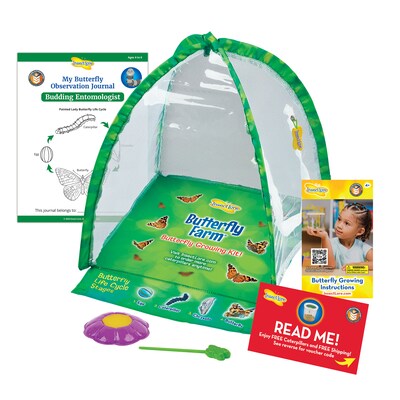 Insect Lore Butterfly Farm Science Manipulative for Students (ILP1015)