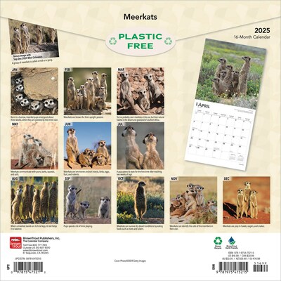 2025 BrownTrout Meerkats 12 x 12 Monthly Square Wall Calendar (9781975475215)