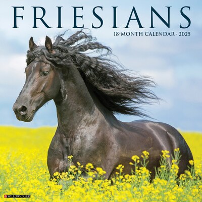 2025 Willow Creek Friesians 12 x 12 Monthly Wall Calendar (42960)