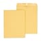 Staples Clasp & Gummed Catalog Envelopes, 10L x 13H, Brown, 100/Box (187039/19272)